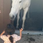 Andreia Rodrigues Instagram – Inês! Há 3 anos chegaste a este mundo e desde então tens sido luz nas nossas vidas! Doce, atenta, carinhosa, perspicaz, enérgica, conversadora, cheia de sentido de humor. Não consigo imaginar esta vida sem ti! És amor! Tem sido uma viagem incrível ao teu lado, adormecermos juntas enquanto me agarras na cara, ouvir as tuas gargalhadas, ouvir-te a contar histórias, cantar e dançar contigo! És uma benção, meu amor! Inês! 💗