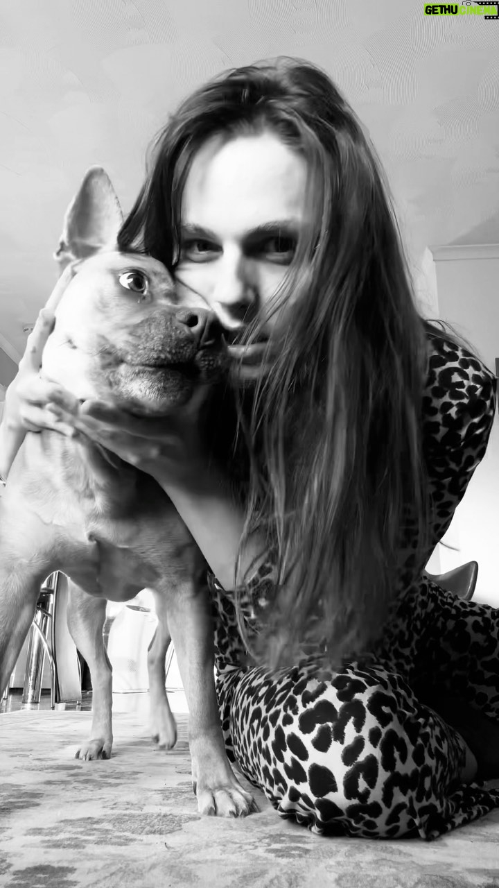 Andreja Pejić - 1K Likes - Eartha Kitt when attending the White House and being asked how America can become more beautiful told Lady Bird Johnson, the president’s wife, “you send the best of this country off to be shot and maimed. They rebel in the street. They will take pot and they will get high. They don’t want to go to school because they’re going to be snatched from their mothers to be shot in Vietnam.” The First Lady was shocked for words and President Johnson was furious. It is said that he called the FBI to dig up dirt on her. She was blacklisted and forced to work in Europe for ten years but made a comeback in the US.