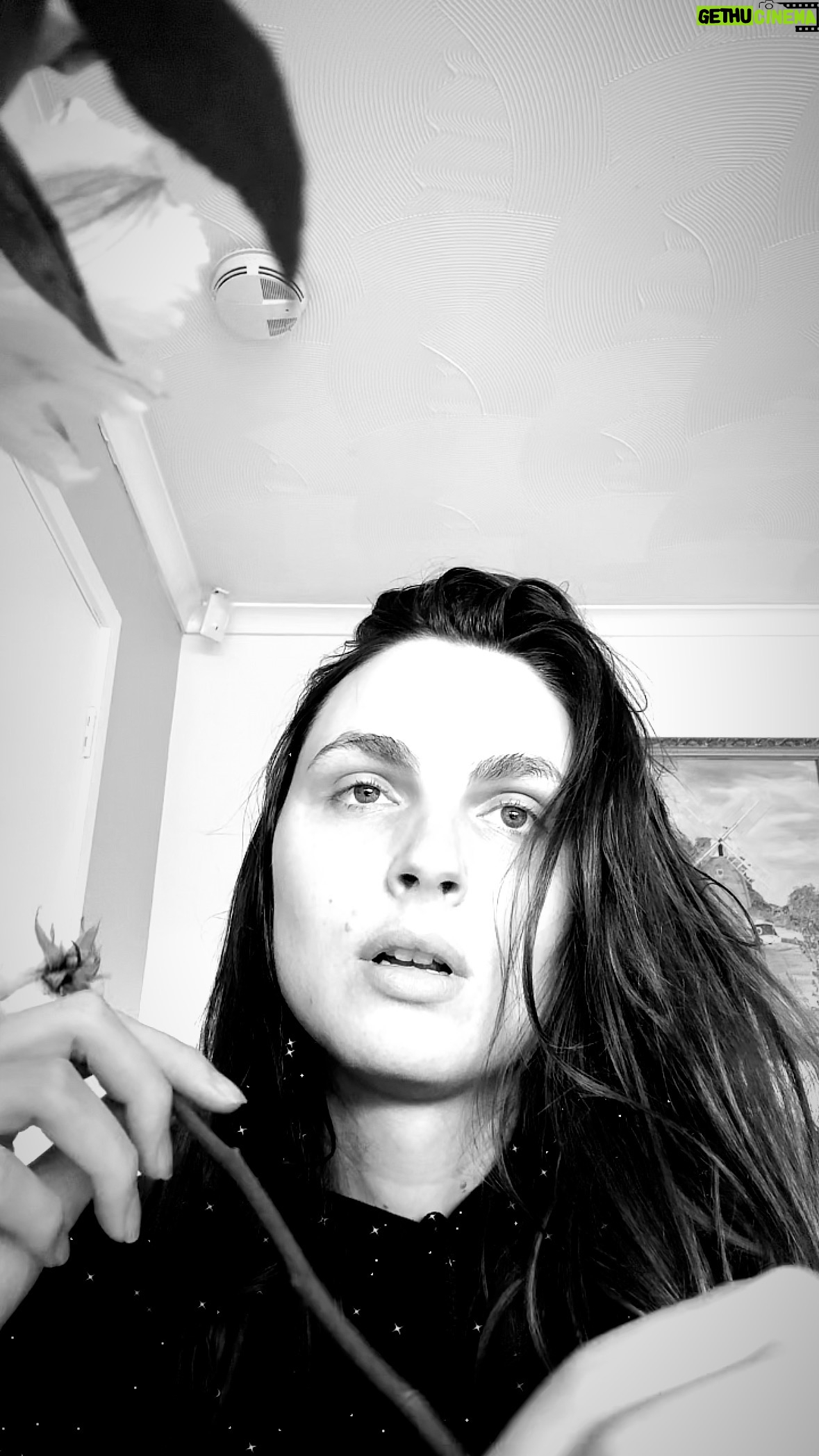 Andreja Pejić - 1.1K Likes -