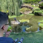 Angélica Celaya Instagram – Descubierto el mundo en tu naturaleza 💛 @angel_alessandro_garcia 
Pidiendo deseos, escuchando el cielo y correteando a varias cachoras 🦎