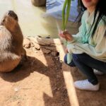 Angel Han Instagram -