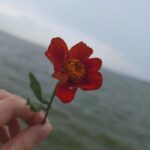 Angel Han Instagram - 又開始大風大雨……小花兒，你要堅強喔！