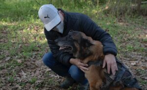 Angela Kang Instagram - Dog Appreciation post for #TWD’s Very Good Boy 🐕🧟 #TheWalkingDead #TWDbts #TWDFamily
