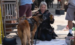 Angela Kang Instagram - Dog Appreciation post for #TWD’s Very Good Boy 🐕🧟 #TheWalkingDead #TWDbts #TWDFamily