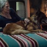 Angela Kang Instagram – Dog Appreciation post for #TWD’s Very Good Boy 🐕🧟 #TheWalkingDead #TWDbts #TWDFamily