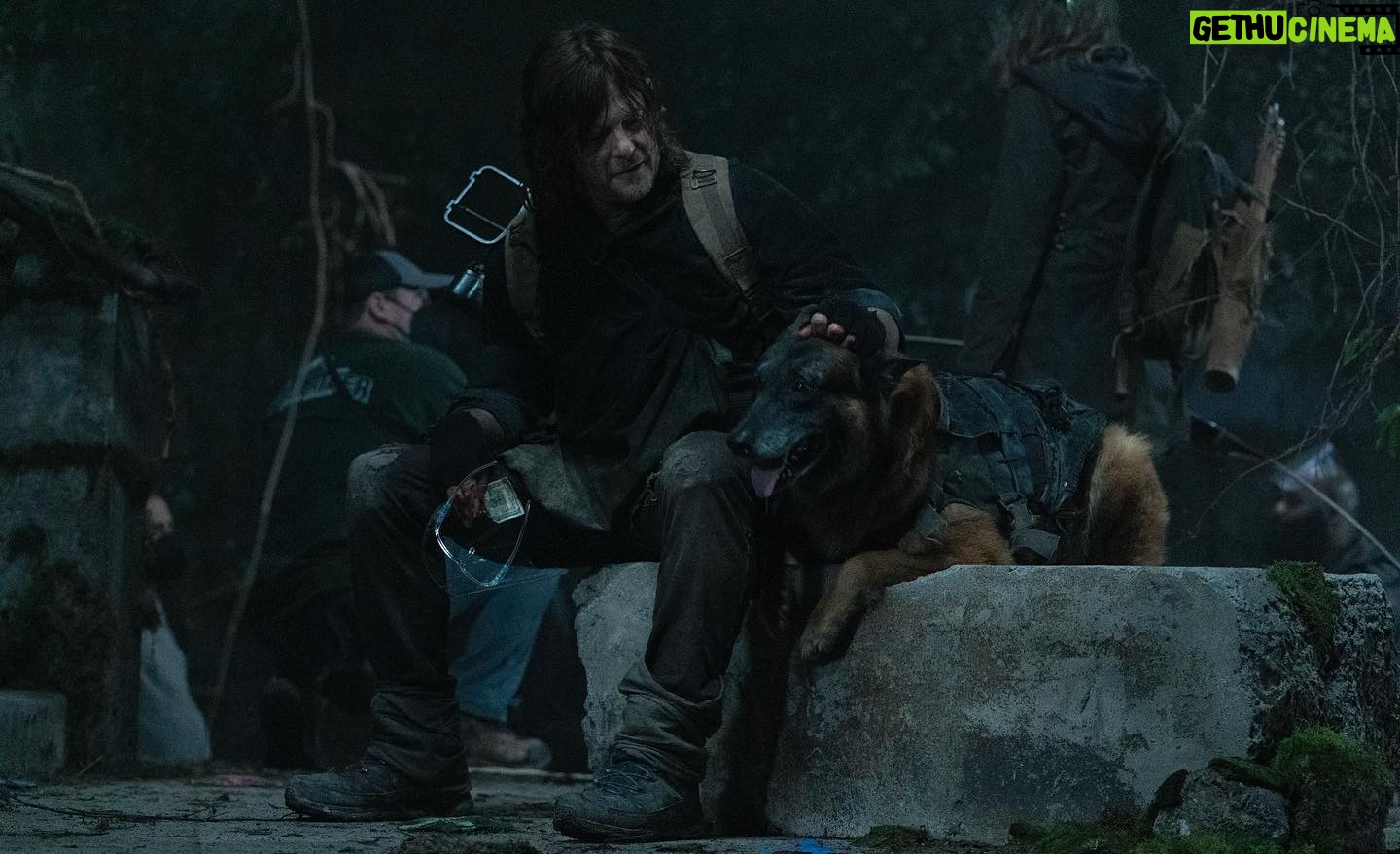 Angela Kang - 35.6K Likes - Dog Appreciation post for #TWD’s Very Good Boy 🐕🧟 #TheWalkingDead #TWDbts #TWDFamily