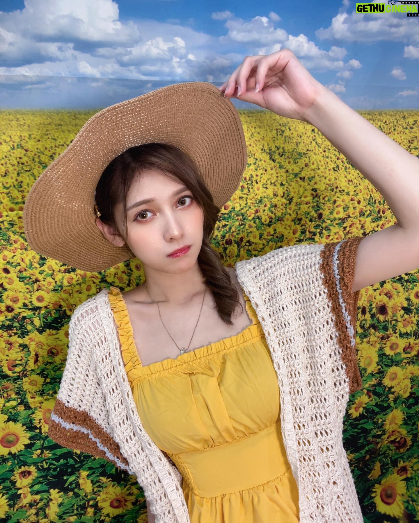 Angela Mei - 9.7K Likes - 🌻
人生で1回はひまわり畑行ってみたいよなあ
ベタな感じで白いワンピースと麦わら帽で︎︎☺︎
