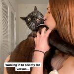 Angela Petruzziello Instagram - His face when I kiss him! 😂😂😂 #cats #marriedlife