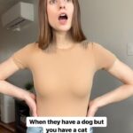 Angela Petruzziello Instagram - Just real mature adult conversations. #comedy #comedyskit #skit #sketchcomedy #cats #dogs #actor #acting