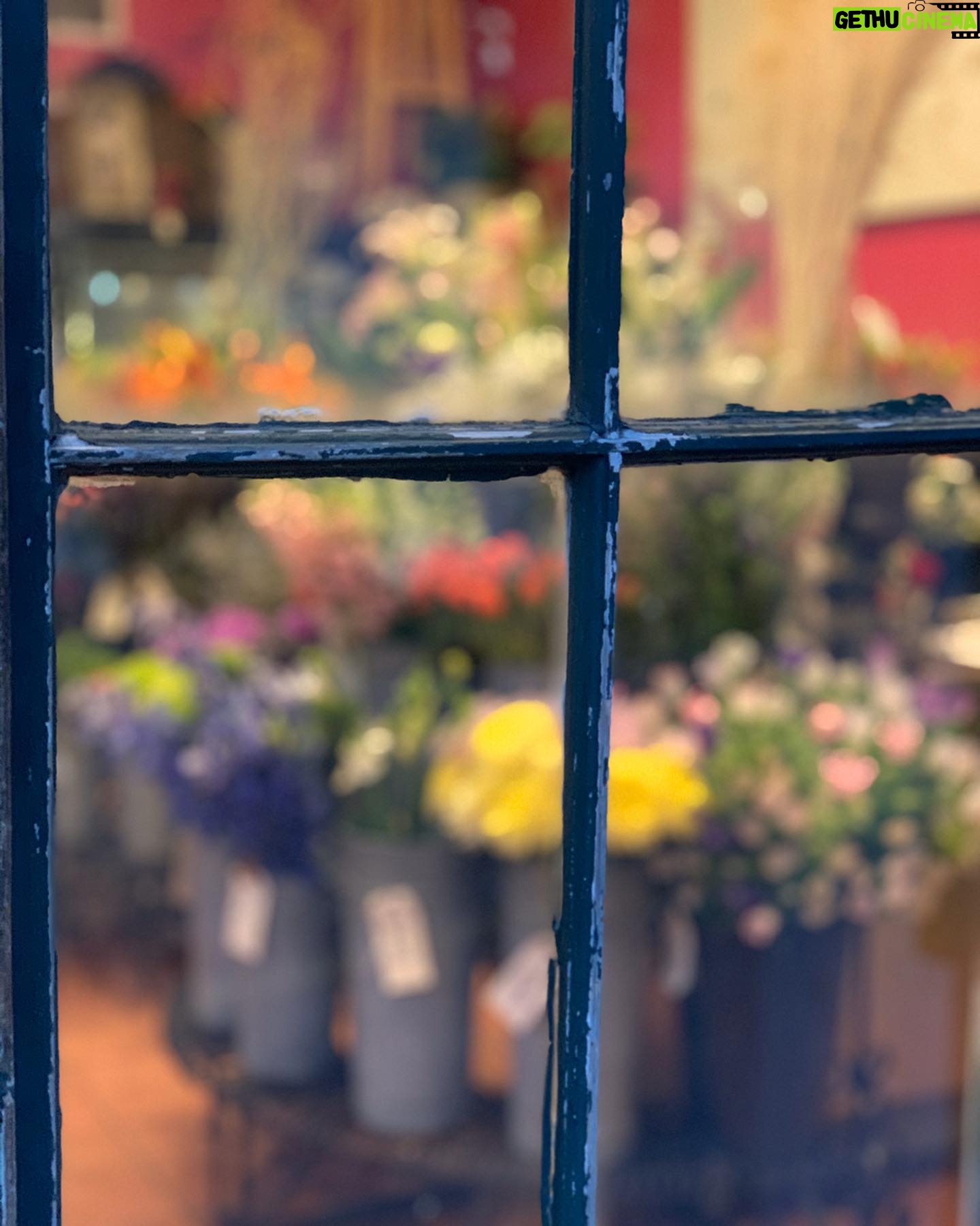 Angela Sarafyan Instagram - A door into my world ... Flowers, a funny clown, an artist painting, my knee making a cracking sound when I plie, and a sweet guitarist playing in the end๐ธ๐