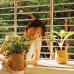 Angela Yuen Instagram - 我怎麼會不小心在這邊種了植物 🫠（？！）