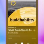 Angelica Ross Instagram - 🗣️🎙️@buddhability is THEE perfect companion podcast to @nowangelicapodcast. Want to hear from MORE #NichirenBuddhist on how profound this practice can be? Want to hear my #Buddhist origin story? Listen to season one episode one to hear my story and how this Buddhist practice changed my relationship with my mother. (This clip is NOT me and is a recent guest on Buddhability)