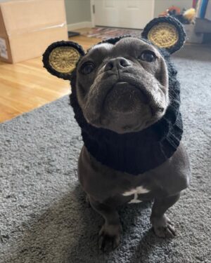 Angie Rae Instagram - The tiniest hippo turns 2 today!
🦛💕

Mona brought so much light back into Monroe’s life after losing Tilly. .. And she did the same for me by giving him that gift.
——————————————————-
She’s a goofy little shmoo and my life is better and more comedic with her in it. 💗💩🌞

**Edited to add that she’s officially been out of her diapers for a full year too! Way to go, Momo! It’s a freakin double celebration!!👏🏻👏🏻**