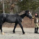 Angie Harmon Instagram - Wishing you all a GIANT HAPPY MONDAY!! 😜😘🙏🏼 #blessed #grateful #draft #drafthorse #Apollo