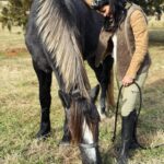 Angie Harmon Instagram - Wishing you all a GIANT HAPPY MONDAY!! 😜😘🙏🏼 #blessed #grateful #draft #drafthorse #Apollo