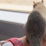 Angie Harmon Instagram – Never, never be afraid to do what’s right, especially if the well-being of a person or animal is at stake. 

-MLK 

There is nothing I want more than to keep this little guy at home with me… but there is nothing he wants more than to be what he is. 
Thank you to all of my new squirrel family for your words of wisdom during this fantastic journey! 🥰🙏🏼😢❤️🐿️

#blessed #grateful #squirrelmom
