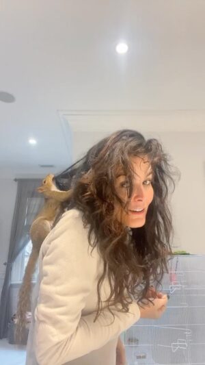 Angie Harmon Instagram - In todays episode of “SquirrelTalk” we announce Thomas has expressed an interest in decorating & architectural design. 

& my hair. 🤷🏻‍♀️🐿️❤️😂

#blessed #grateful #hairdesign #squirrel #mom #helpme