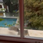Angie Harmon Instagram - I have so many question!! Is there word on the street that this is the place for squirrels? Is this a family member? Can they tell his mom I would like some answers/sleep? Does she know she can’t have him back? 🥰🐿️🍼🥰 #blessed #grateful #squirrel #squirrelmom #mybaby
