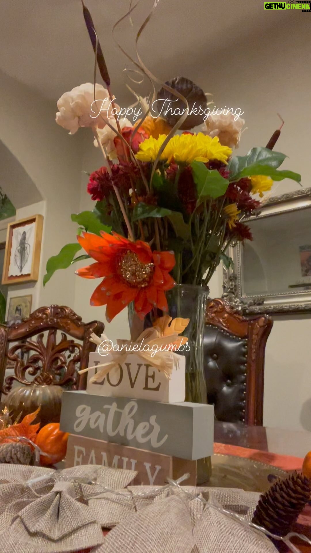 Aniela Gumbs Instagram - Happy Thanksgiving to everyone hope you had a great day with fun and family and good food #thanksgiving #strikeover @greysabc #Zola #year #like #comment #follow #love