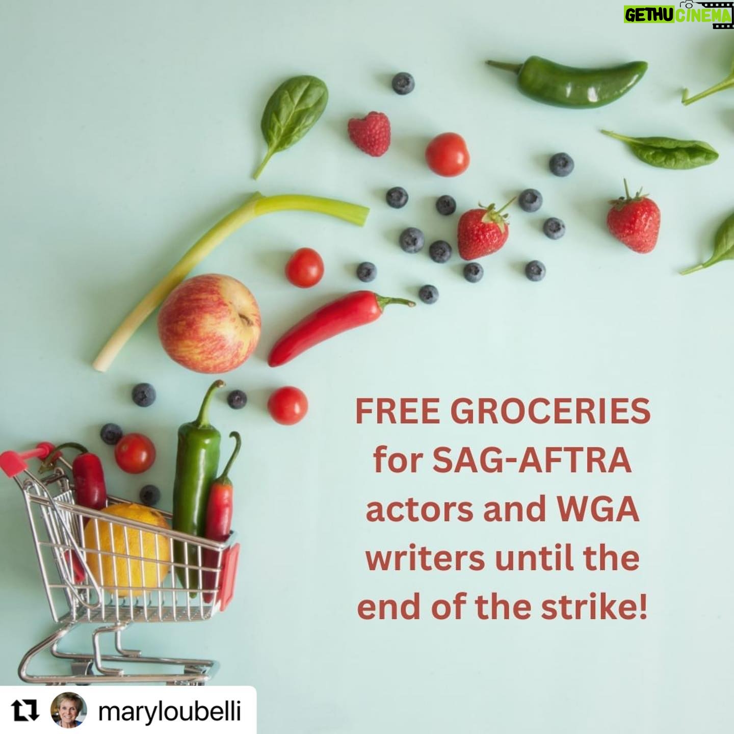 Anika Noni Rose Instagram - Thank you, @worldharvestfoodbank for choosing the humane path. #sagaftrastrike #Repost @maryloubelli with @use.repost ・・・ This is a totally real offer to get our union siblings through this historic fight for our livelihoods! Show your SAG-AFTRA or WGA card at World Harvest Food Bank at 3100 Venice Blvd in Los Angeles, and Uncle Glen Curado will hook you up with a cart of healthy groceries worth over $300! Call them at (213) 746-2227 for operating hours. They are closed on Sundays. You’ll receive a cart of fresh produce and all the staples you need to stay healthy on those picket lines! Thanks to Dr. Self Tape for sending out this info! #unionsolidarity #directorsloveactors #directorslovewriters