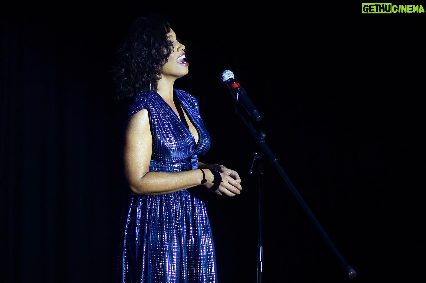 Anika Noni Rose Instagram - Had a wonderful time with the folks of @BoxLunchgifts and @FeedingAmerica at their holiday gala. No one should be hungry, so why not have some fun while helping make a change! Stop by their pages to Check their websites and see where you can make a difference this holiday season! Hair: @tiffdoeshair Face: @meccadickerson Earrings:…@target, y’all! @boxlunchgifts @feedingamerica #BoxLunchHolidayGala #FeedingAmerica #BoxlunchGifts #LiloAndStitch