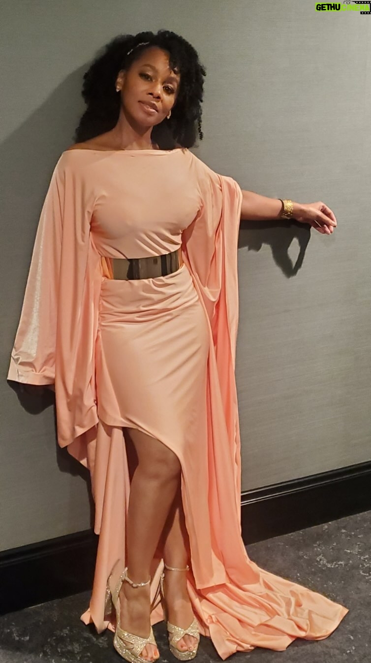 Anika Noni Rose Instagram - Thank you, @KathleenBertrand and @BronzeLens for this beautiful honor, and such a lovely weekend. You made my heart smile. Congratulations to fellow award recipients @vanessabellcalloway, @drhollycarter & @kjsmithofficial. I’m sorry I had to run off too quickly to hang out and squeeze on you all some more. More pics to come! Fabulous frock: @sharihenry Face: #EssieCha Hair: @caprice01 Shoes: @stevemadden