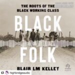 Anika Noni Rose Instagram - One time for the culture. @profblmkelley has written a seminal work on the working class, the formation of unions, and journeys of family. It has been my great joy and honor to voice the audiobook. Black Folk: The Roots Of The Black Working Class is available now. Thank you for keeping these voices alive, Dr. Kelley. You are a gift, in a time when erasure seems to be a daily goal. 🤎 #BlackFolk #BlackFolkTheRootsOfTheBlackWorkingClass #WorkingClass #History #UnionStrong #Union #Literature #BlackLit #BlackHistory #AmericanHistory