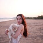 Anis Suwit Instagram - รูปที่มีความวุ่นวายขั้นสุด 🐱
