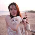 Anis Suwit Instagram - รูปที่มีความวุ่นวายขั้นสุด 🐱