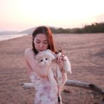 Anis Suwit Instagram - รูปที่มีความวุ่นวายขั้นสุด 🐱