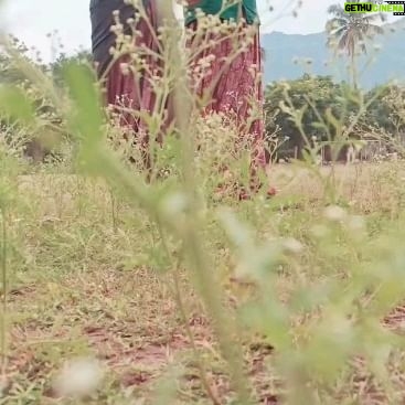 Anjali Manasvi - 1.1K Likes - @brigida_saga