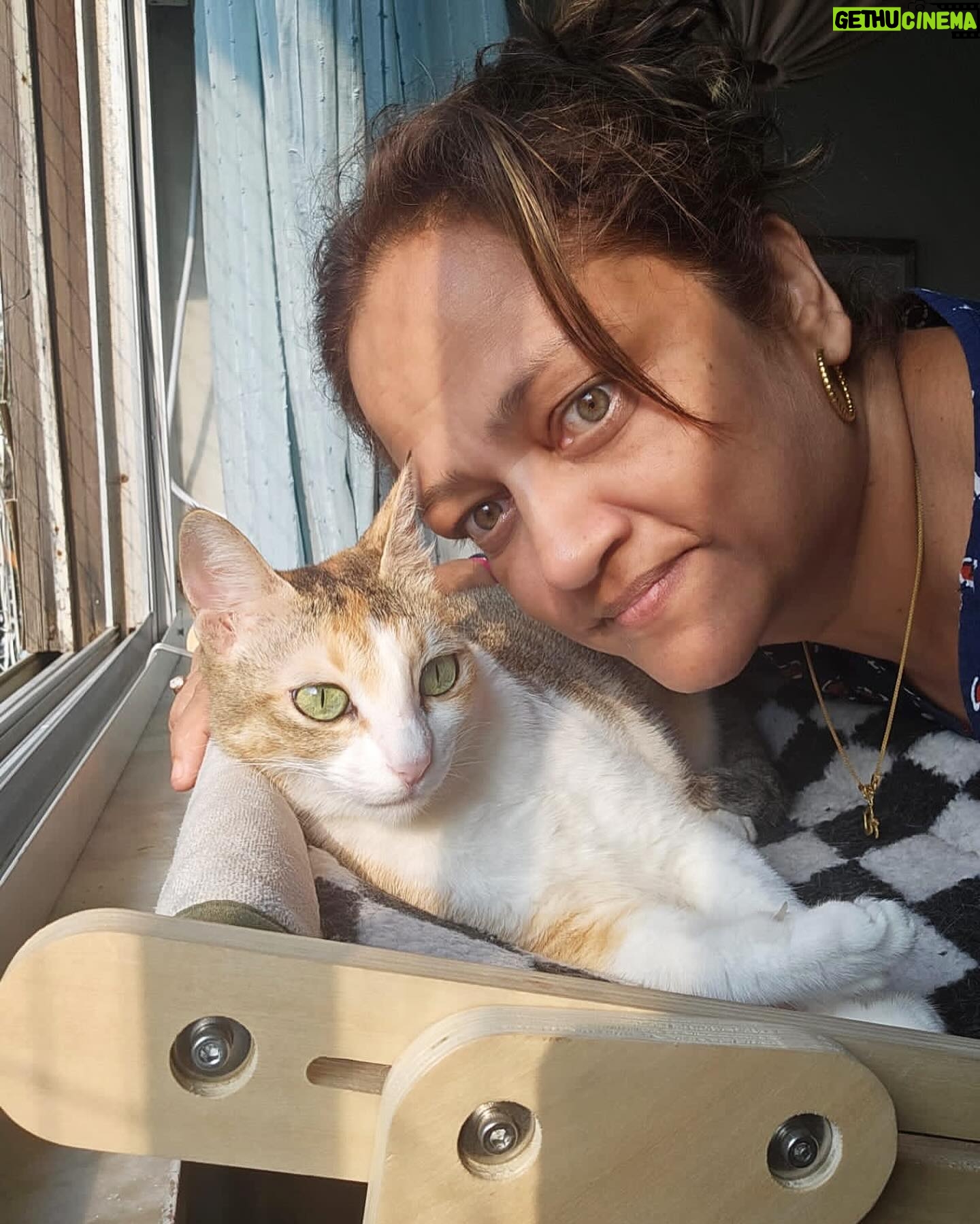 Anjali Sivaraman - 3 Likes - To all the most fabulous women in my life š„°š„° Iām so blessed and Iām so lucky to have each and every one of you in my life
If youāre not in these pictures, itās only because I couldnāt find one/instagram only allows 10 pictures at a time hehehhe