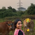 Anjana Mohan Instagram - പശു ഒരു ഭീകര ജീവി അല്ല.🐄🐮 . Script,Direction,camera @abhijithretouch . #reels #reelsinstagram #animal #funnyvideos #cuteanimal #funnyanimal