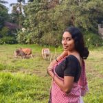 Anjana Mohan Instagram - Photography : @abhijithretouch . #anjanamohan #beauty #traditional #lookoftheday #pet #cow