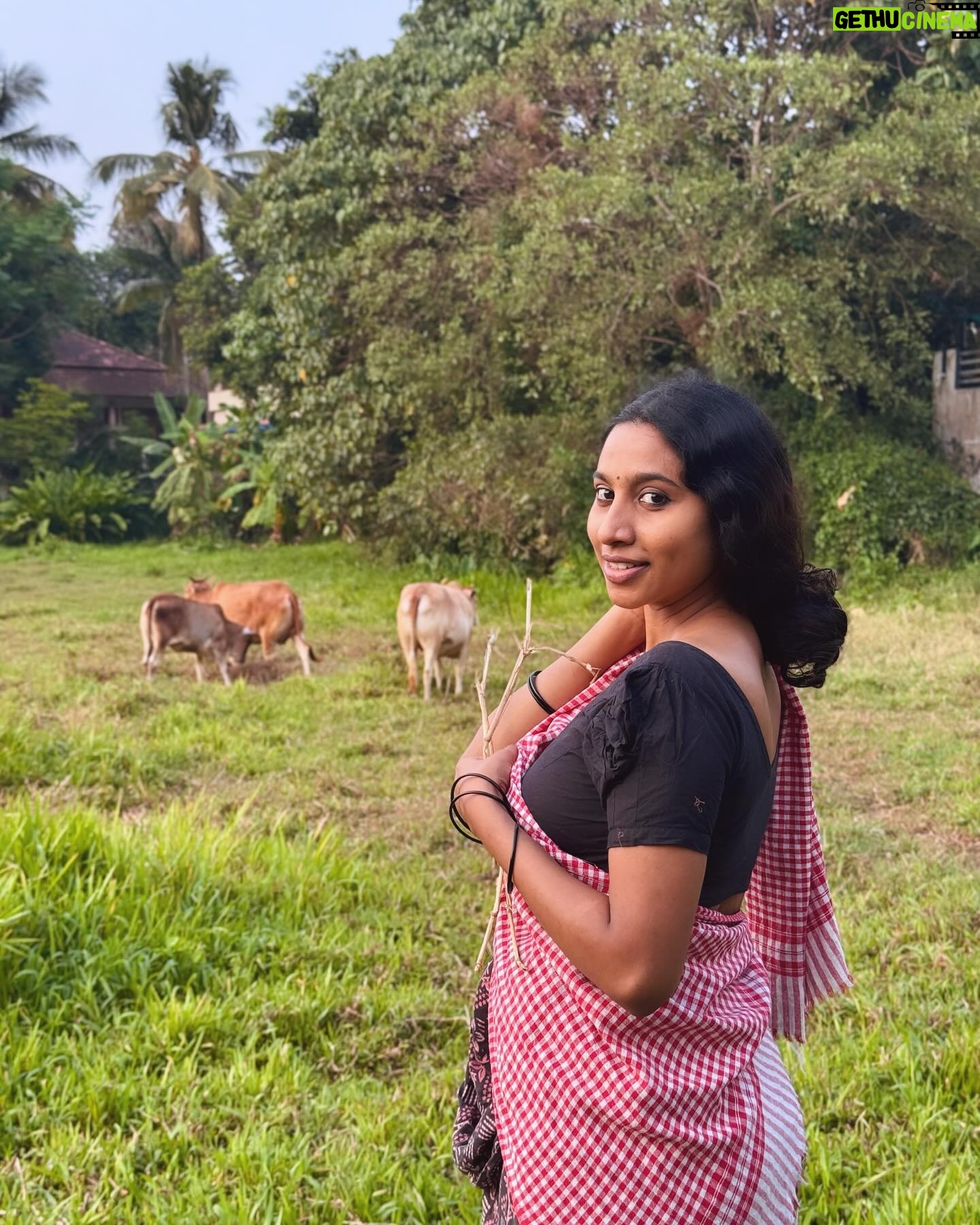 Anjana Mohan Instagram - Photography : @abhijithretouch . #anjanamohan #beauty #traditional #lookoftheday #pet #cow
