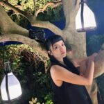 Anjaylia Chan Instagram – 那天晚上就像一個夢💭 

雅致的燈、閃亮的吊椅、經典的酒櫃…

還有讓人一看就想帶着出走的行李箱…

那是生活、藝術、美感的融合。

誰不想擁有呢？

當然，最開心的是遇上一張張親切又熟悉的笑臉。

#lvsavoirrever 
#lvhongkong 
@louisvuitton