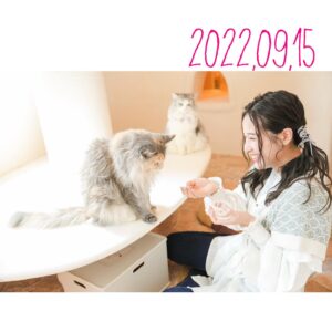 Anju Inami Instagram - おこん。
．
みんな、元気にしていますか？🎐 𓈒𓏸
．
私は、連日のリモート会議を経て
12月25日のイベント #みるたんどれす の
準備が始まっております！
．
それがほんと、とっても楽しみで。
．
今日のリモートは、楽曲打ち合わせ( '༥' )
．
実はね、こそこそ、着々と。🤞
どんなメロディラインが
クリスマスっぽいかなぁとか
逆に、勢いに任せてみて紡いだり。
．
東京戻ったら
そろそろサックスにも顔合わせたい。🎷
．
良きアイデアや
みんなとの楽しかった想い出を
頭の中にたくさん巡らせながら、毎日を過ごしています。
．
( ˘ᵕ˘ )𓈒𓏸 新たなる嬉しいお知らせごとも
日に日に、増やせているんだ…っ　）
．
ん、ちなみに
今日のお写真は、FCロケの時のひとコマです！📸
こん時が、はじめての猫カフェで
めちゃくちゃ楽しんでた私。笑
．
完全に魅了されて
#inaminTown に帰ってきたよね。笑
可愛かったなぁ…。
．
この模様は、たうん内の〝映画館〟に
アップされる予定なので
しばしお待ちを！
楽しみにしててくださいませ( ˶ˊᵕˋ)🐾
．
今日はなんてことない
わたしからの、お便りいんすたでした。
．
たまには、こういう風なのもいいかねっ
．
それではまた🦊。
#inamianju
