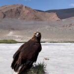 Ankhmaa Gankhuyag Instagram - 🪶🦅Сүүн гол🌊