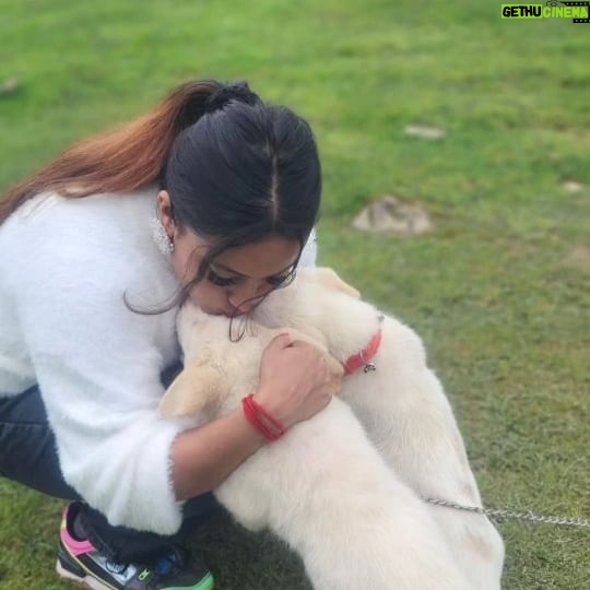 Ankita Bhowmick - 283 Likes - Memories ll never fade♥️✌️ promise ✌️
.
.
.
.
.
#instagram #reelsvideo #reels #reelsinstagram #reelsvideo #trending #trendingsongs #trendingreels #memories #life #always #beautiful #beautifuldestinations