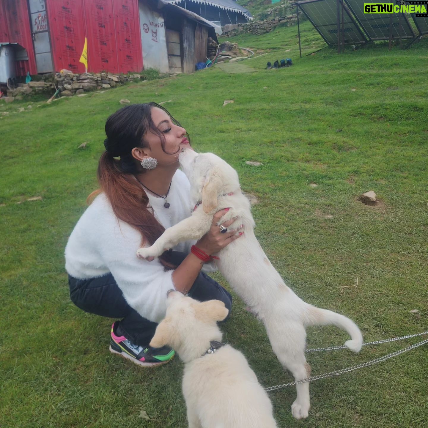 Ankita Bhowmick - 256 Likes - The love and affection matters d most 🥰💖beautiful memories 😘
#memories #love #puppy #puppylove #cute #cutebaby #sweet #happy #happiness