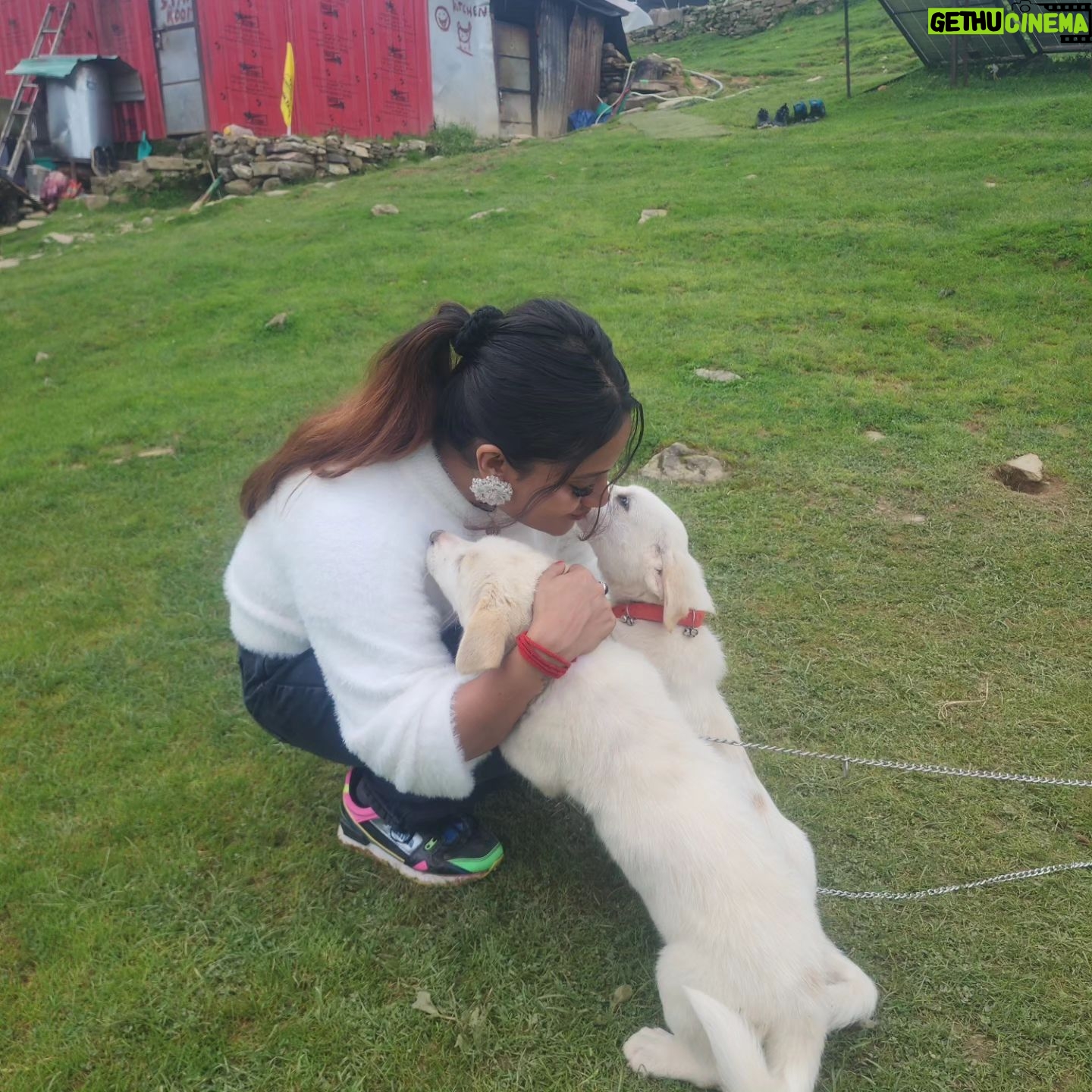 Ankita Bhowmick - 256 Likes - The love and affection matters d most 🥰💖beautiful memories 😘
#memories #love #puppy #puppylove #cute #cutebaby #sweet #happy #happiness