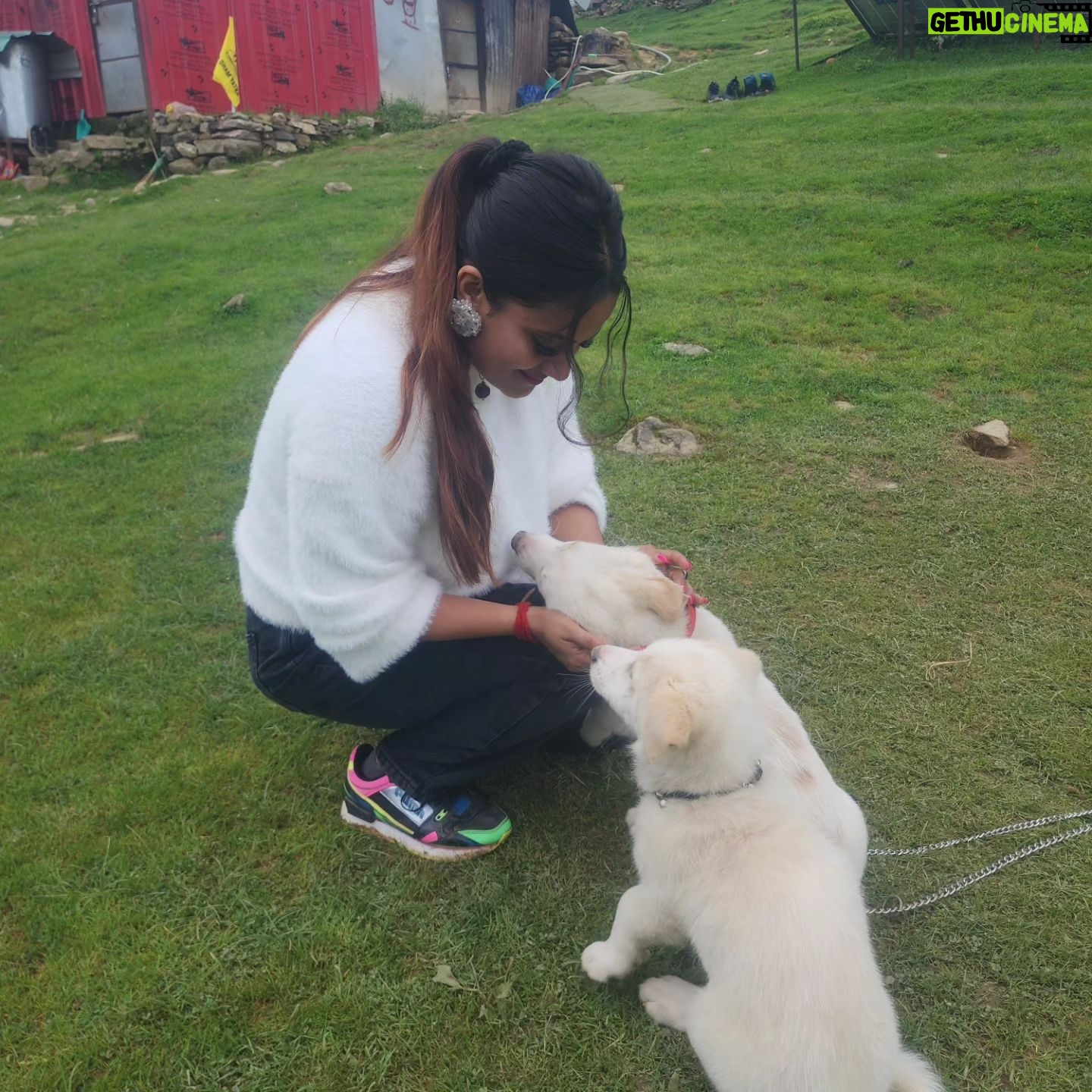 Ankita Bhowmick - 256 Likes - The love and affection matters d most 🥰💖beautiful memories 😘
#memories #love #puppy #puppylove #cute #cutebaby #sweet #happy #happiness
