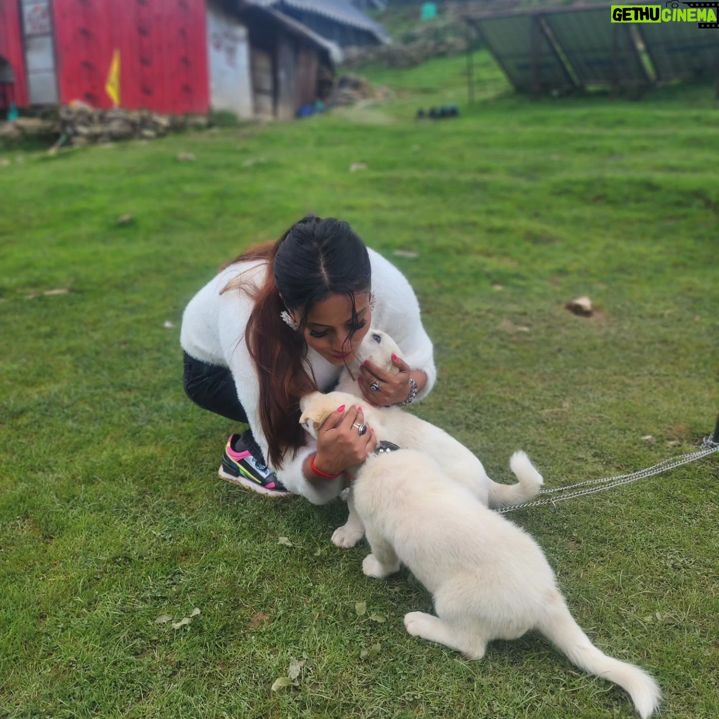 Ankita Bhowmick - 256 Likes - The love and affection matters d most 🥰💖beautiful memories 😘
#memories #love #puppy #puppylove #cute #cutebaby #sweet #happy #happiness