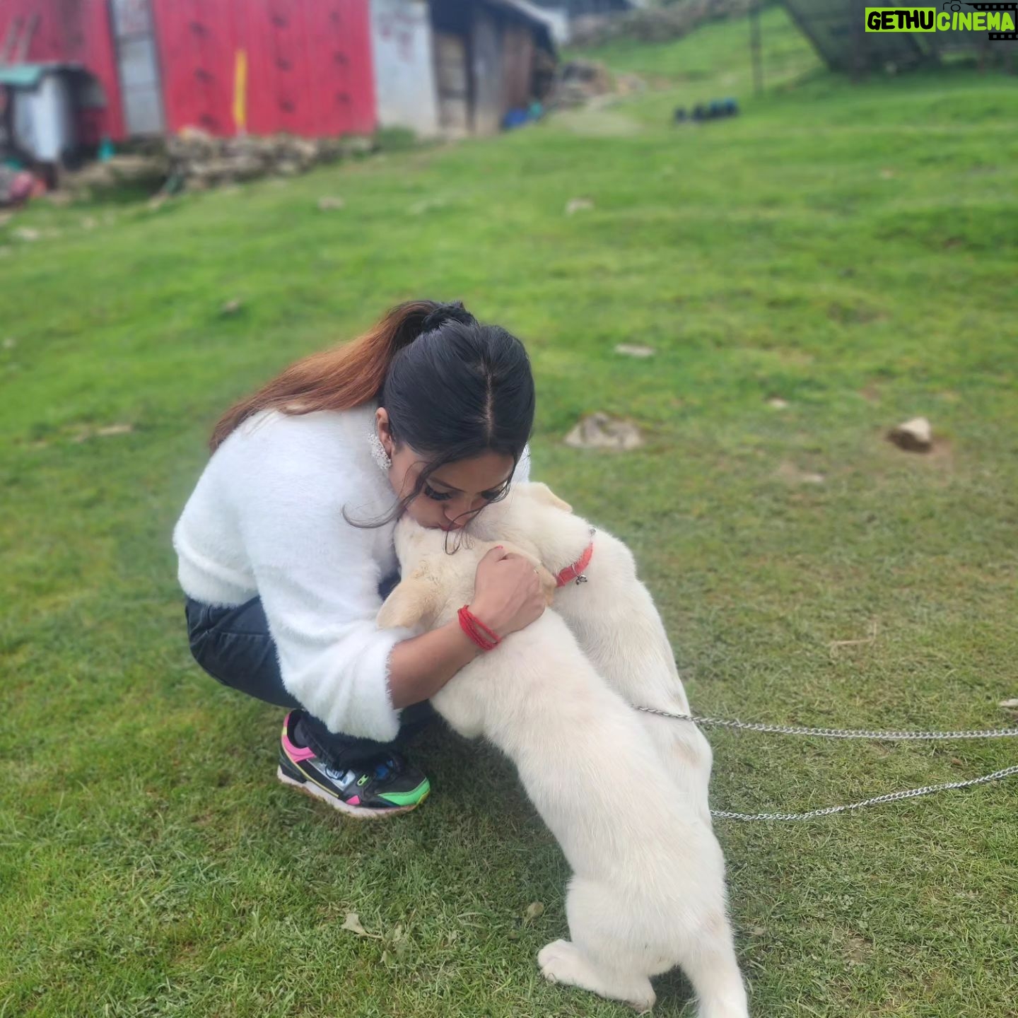Ankita Bhowmick - 256 Likes - The love and affection matters d most 🥰💖beautiful memories 😘
#memories #love #puppy #puppylove #cute #cutebaby #sweet #happy #happiness
