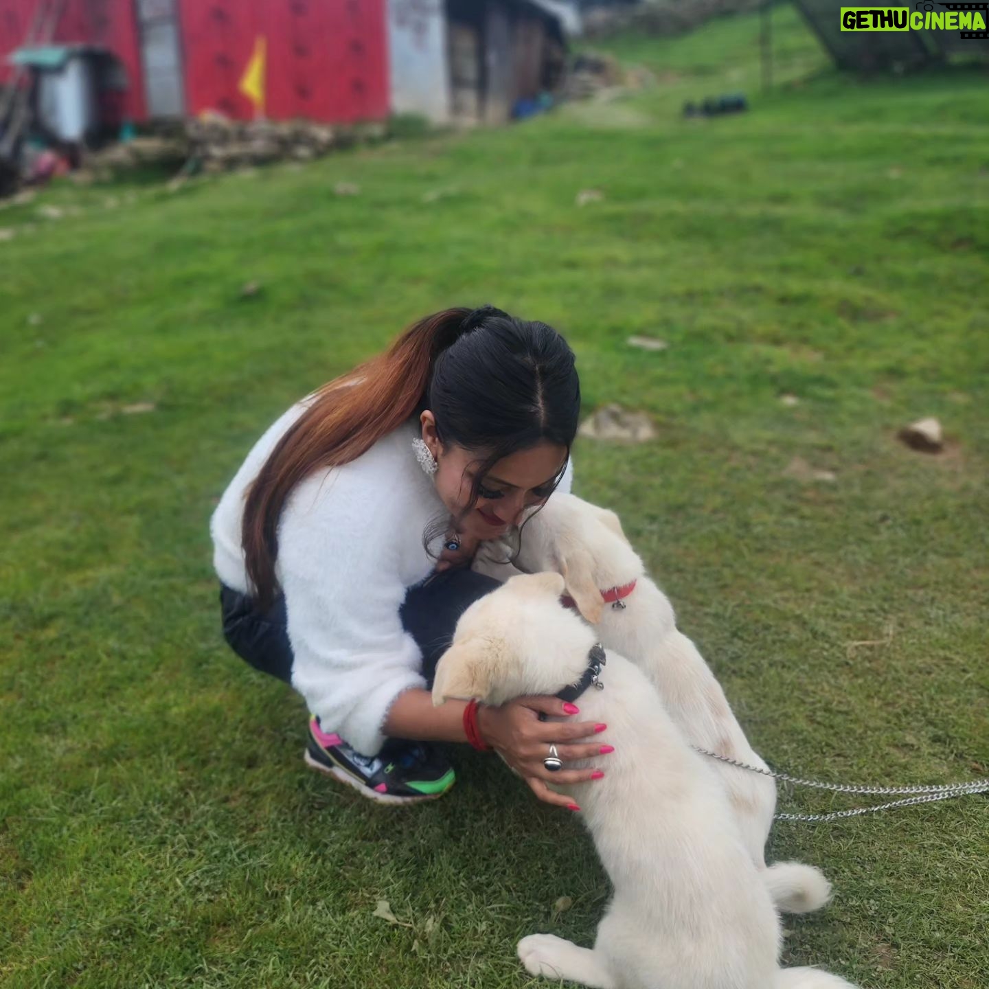 Ankita Bhowmick - 256 Likes - The love and affection matters d most 🥰💖beautiful memories 😘
#memories #love #puppy #puppylove #cute #cutebaby #sweet #happy #happiness