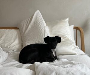 Anna Baryshnikov Instagram - assorted food and dog