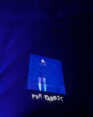 Anna Marie Purić Instagram - 🦇👾🌪️ rodeo v o2 aréééně