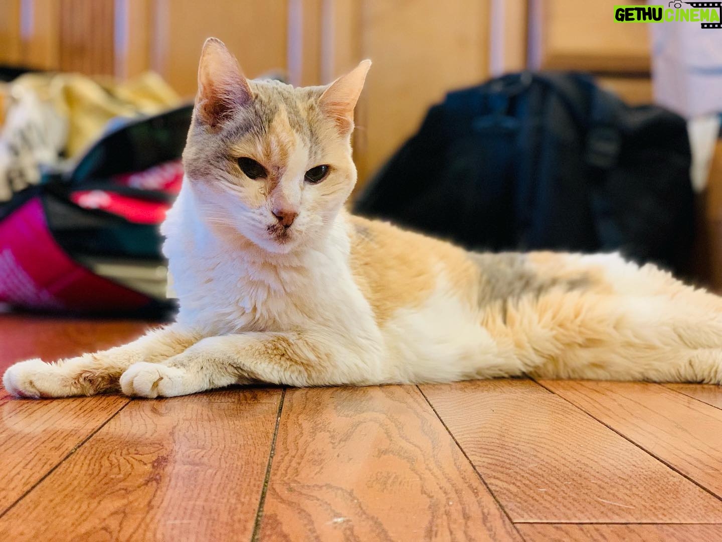 Anna Silk - 3K Likes - My Dear Rosie—From start to finish, you were Poetry. Today we will honor you on what would have been your 18th birthday. Thank you for choosing Me.
Rest In Peace Sweet Girl❤️