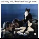 Anna Akana Instagram – There’s not enough room