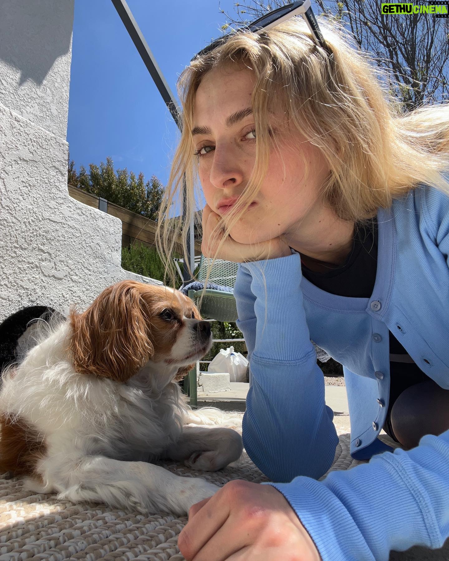 Anna Collins - 1.2K Likes - Sorry I can’t hang out I already told my dog about u